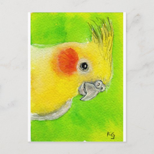 Flüchtige Blick-a-boo Cockatiel Postkarte (Vorderseite)