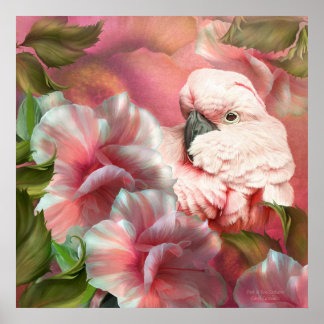 Flüchtige Blick A Boo Cockatoo Fine Art Poster/Pri Poster