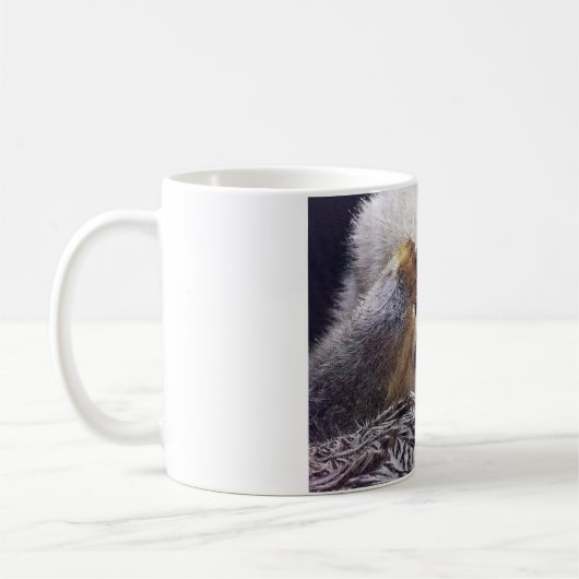 FLÜCHTIGE BLICK-A-BOO COMICAL OTTER TASSE (Links)