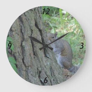 Flüchtige Blick A Boo Eichhörnchen - Große Wanduhr