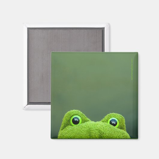 Flüchtige Blick-a-Boo-Frog | Square Magnet Design (Vorderseite/Rückseite)