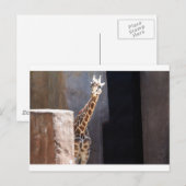 flüchtige Blick-a-boo-Giraffe Postkarte (Vorne/Hinten)