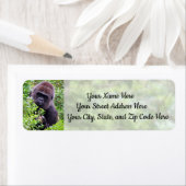 Flüchtige Blick-A-Boo-Gorilla-Adressfelder (Insitu)