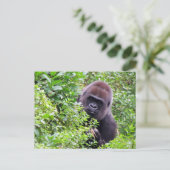 Flüchtige Blick-A-Boo Gorilla einschließlich ID-# Postkarte (Stehend Vorderseite)