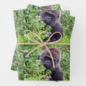 Flüchtige Blick-A-Boo-Gorilla-Jedem Anlass Geschenkpapier Set (Beispiel)