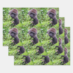 Flüchtige Blick-A-Boo-Gorilla-Jedem Anlass Geschenkpapier Set
