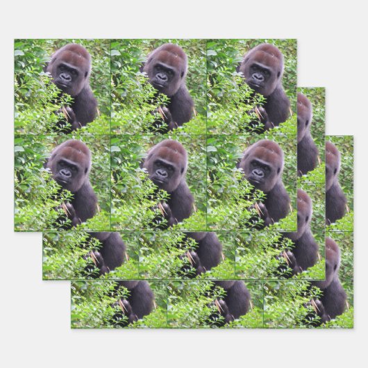 Flüchtige Blick-A-Boo-Gorilla-Jedem Anlass Geschenkpapier Set (Set)