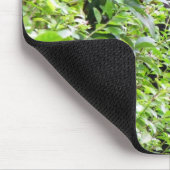 Flüchtige Blick-A-Boo-Gorilla-Maus-Pad Mousepad (Ecke)