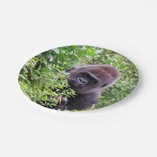 Flüchtige Blick-A-Boo Gorilla - PapierTeller (Schrägansicht)