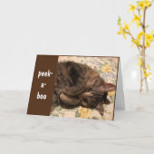 FLÜCHTIGE BLICK-A-BOO & *GRATULIERUNGEN* FÜR SIE! KARTE (Gelbe Blume)