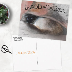 Flüchtige Blick-A-Boo Ich vermisse Sie Siam Kitten Postkarte