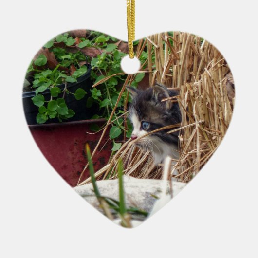 Flüchtige Blick-a-Boo Keramik Ornament (Vorne)