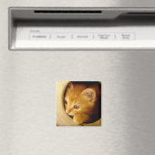 Flüchtige Blick-A-Boo! Kitten - Magnet (In Situ (Geschirrspüler))