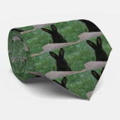 Flüchtige Blick-a-Boo Krawatte (Gerollt)