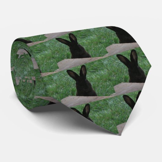 Flüchtige Blick-a-Boo Krawatte (Gerollt)