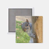 Flüchtige Blick-a-Boo! Magnet (Vorderseite/Rückseite)