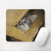 Flüchtige Blick-A-Boo Mousepad (Mit Mouse)