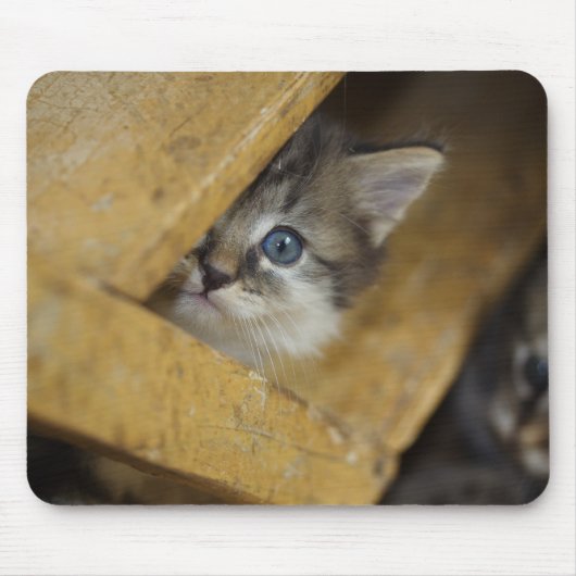 Flüchtige Blick-A-Boo Mousepad (Vorne)