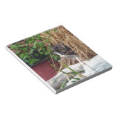 Flüchtige Blick-a-Boo Notizblock (angewinkelt)