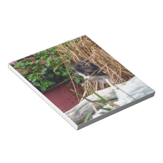 Flüchtige Blick-a-Boo Notizblock (angewinkelt)