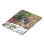 Flüchtige Blick-a-Boo Notizblock (Rotiert)