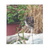 Flüchtige Blick-a-Boo Notizblock (Vorderseite)