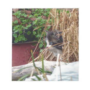 Flüchtige Blick-a-Boo Notizblock