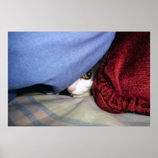 Flüchtige Blick a Boo Poster (Vorne)