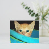 FLÜCHTIGE BLICK-A-BOO POSTKARTE (Stehend Vorderseite)