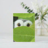Flüchtige Blick-A-Boo Postkarte (Stehend Vorderseite)