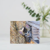 Flüchtige Blick-a-Boo Postkarte (Stehend Vorderseite)