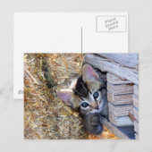 Flüchtige Blick-a-Boo Postkarte (Vorne/Hinten)
