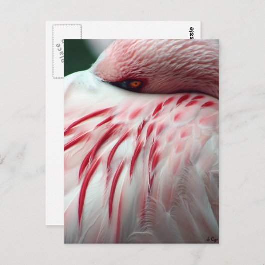 Flüchtige Blick a Boo Postkarte (Vorne/Hinten)