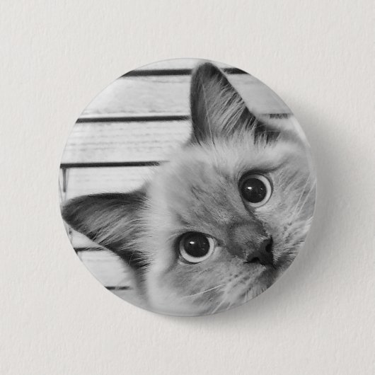 Flüchtige Blick-a-boo Ragdoll Button (Vorderseite)