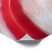 Flüchtige Blick a Boo, S Cyr Poster (Ecke)