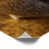 Flüchtige Blick-a-boo-Sock-Affe Poster (Ecke)