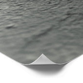 Flüchtige Blick-a-Boo Teddy Poster (Ecke)