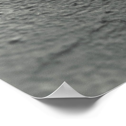 Flüchtige Blick-a-Boo Teddy Poster (Ecke)