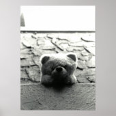 Flüchtige Blick-a-Boo Teddy Poster (Vorne)