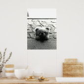 Flüchtige Blick-a-Boo Teddy Poster (Küche)