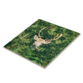 Flüchtige Blick a Deh Fliese (Seite)