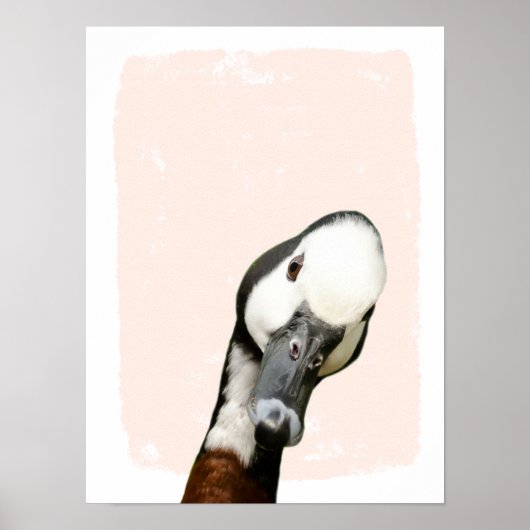 Flüchtige Blick an der Kinderzimmer-Dusche Poster (Vorne)