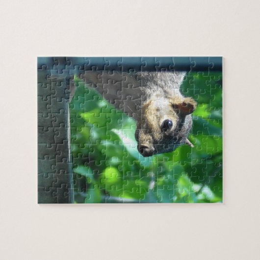 Flüchtige Blick ein Boo-Funny-Eichhörnchen Puzzle (Horizontal)