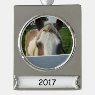 Flüchtige Blick ein Boo Palomino Pferd Hinter Zaun Banner-Ornament Silber