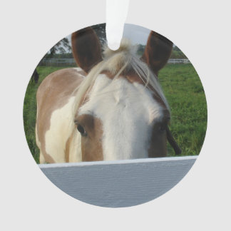 Flüchtige Blick ein Boo Palomino Pferd Hinter Zaun Ornament