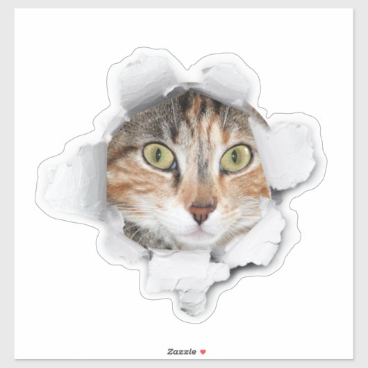 Flüchtige Blick einer Bootkatze Gepäck Aufkleber (Blatt)