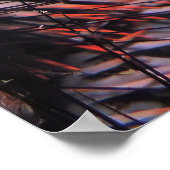 Flüchtige Blick eines Boo-Groupers Poster (Ecke)