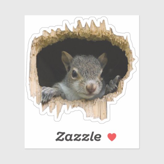 Flüchtige Blick. - Grauhörnchen Aufkleber (Blatt)