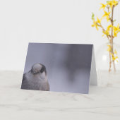 flüchtige Blick Karte (Gelbe Blume)