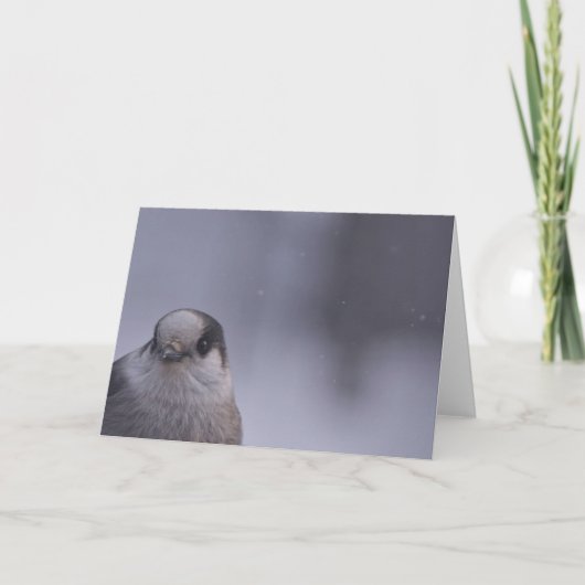 flüchtige Blick Karte (Vorderseite)